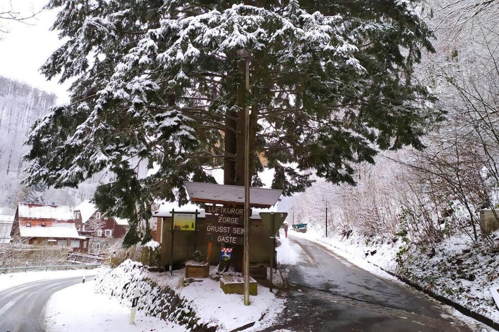 Haus Am Wald Zorge 16+ Gaeste Walkenried Esterno foto