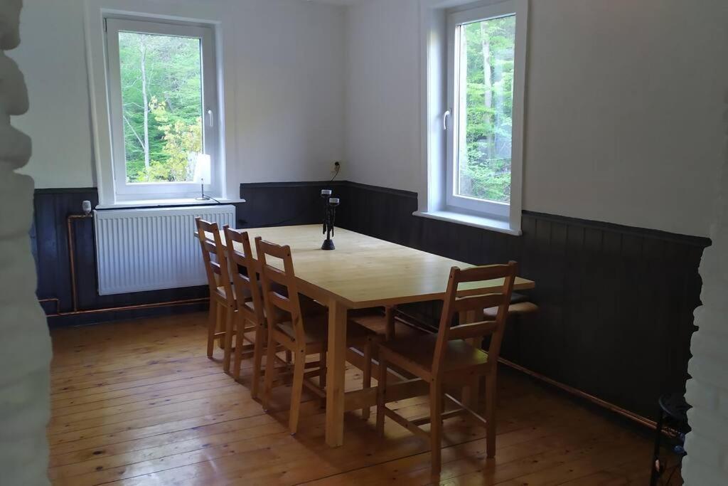 Haus Am Wald Zorge 16+ Gaeste Walkenried Esterno foto