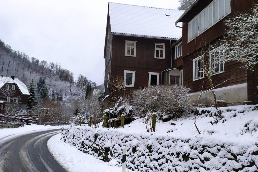 Haus Am Wald Zorge 16+ Gaeste Walkenried Esterno foto