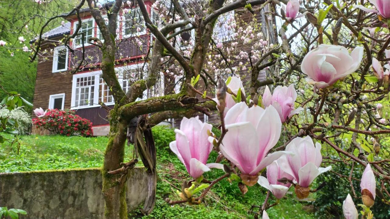 Haus Am Wald Zorge 16+ Gaeste Walkenried Esterno foto